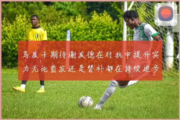 乌度卡期待谢泼德在对抗中提升实力无论首发还是替补都在持续进步