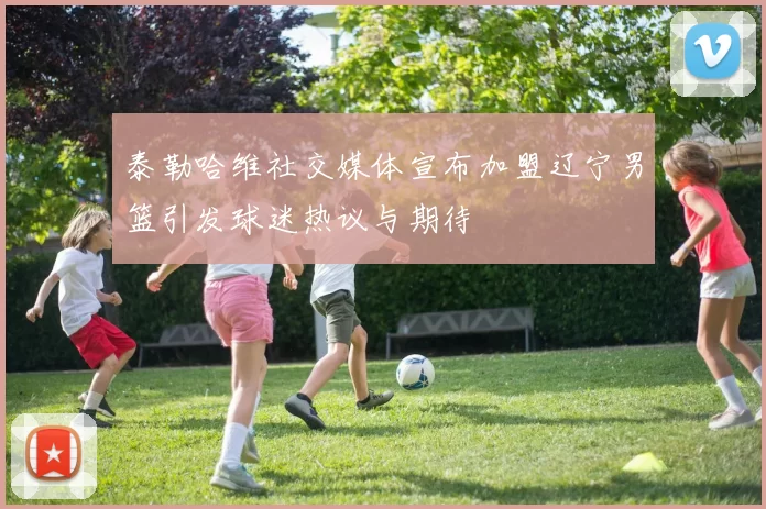 泰勒哈维社交媒体宣布加盟辽宁男篮引发球迷热议与期待